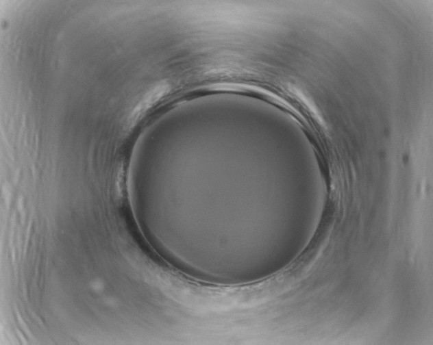 X0000088360023200705221042