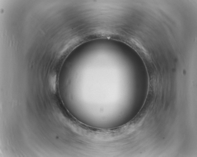 X0000088360024200705221042