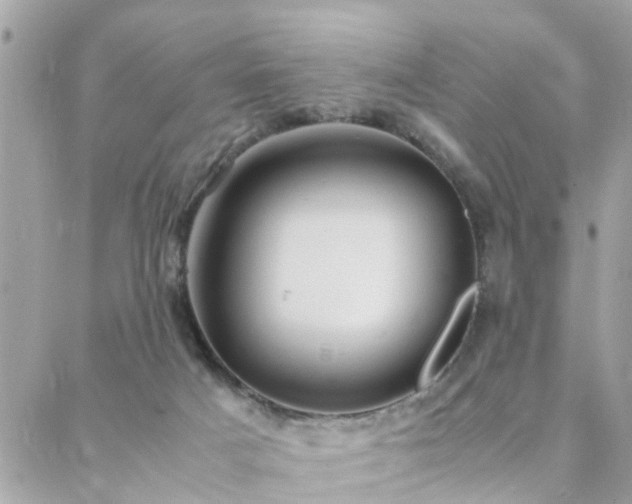 X0000088360025200705221042