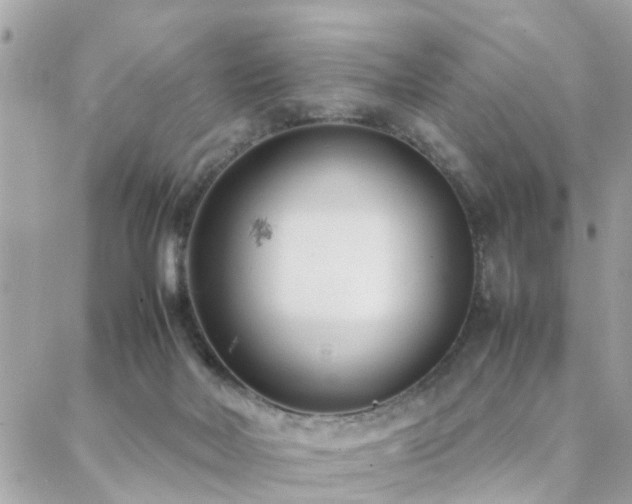 X0000088360026200705221042