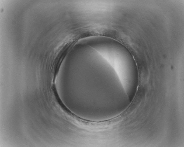 X0000088360027200705221042