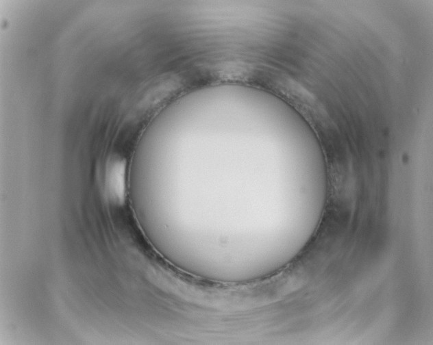 X0000088360028200705221042