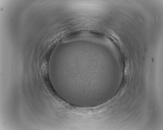 X0000088360029200705221042