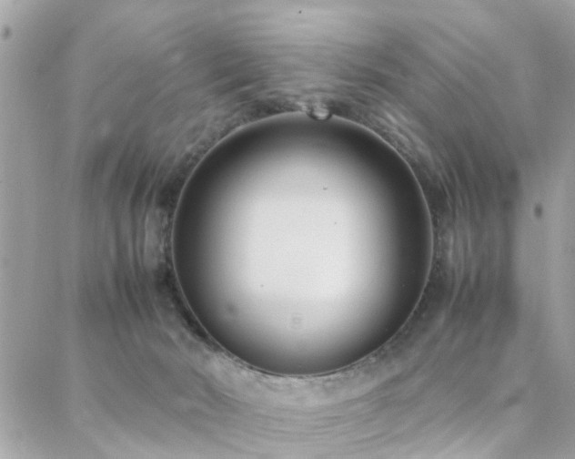 X0000088360030200705221042