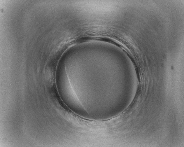 X0000088360031200705221042