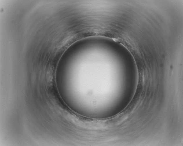 X0000088360032200705221042