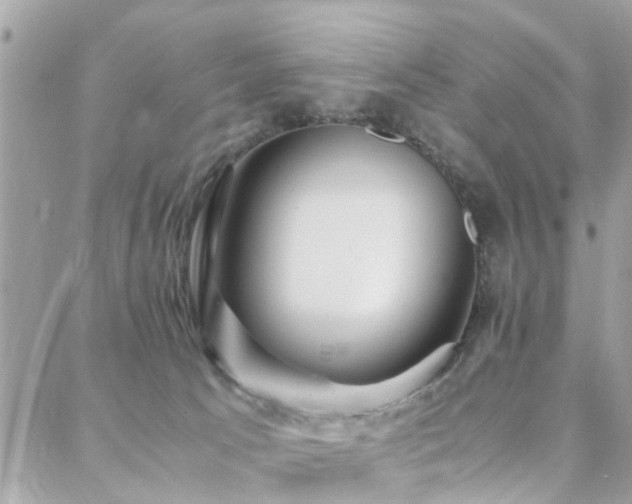 X0000088360033200705221042