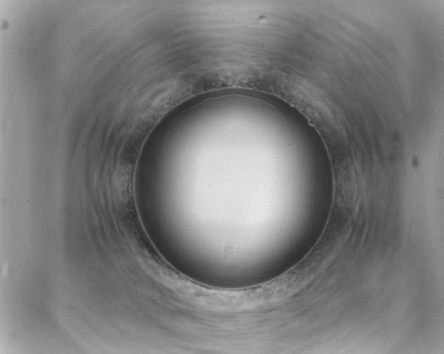 X0000088360034200705221042