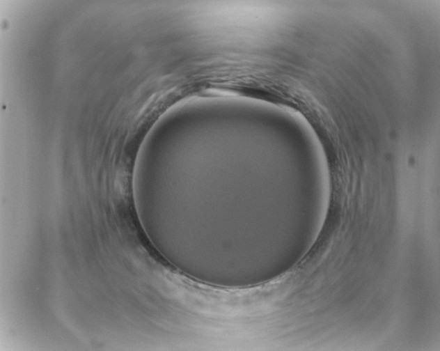 X0000088360035200705221042