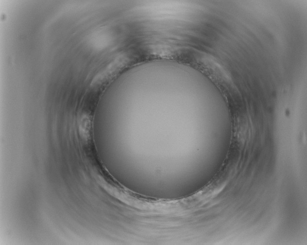 X0000088360036200705221042