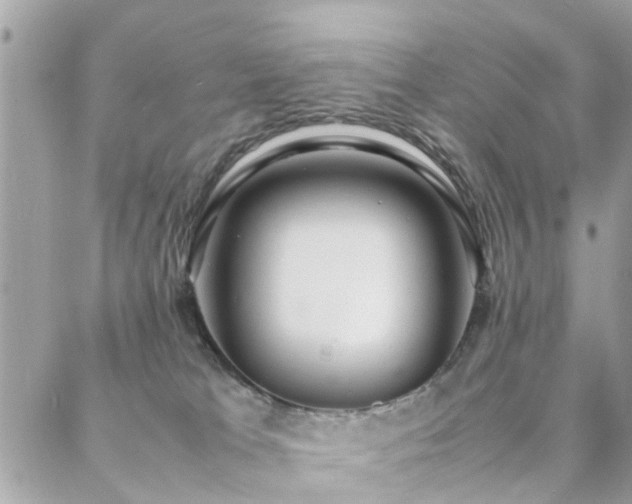 X0000088360037200705221042