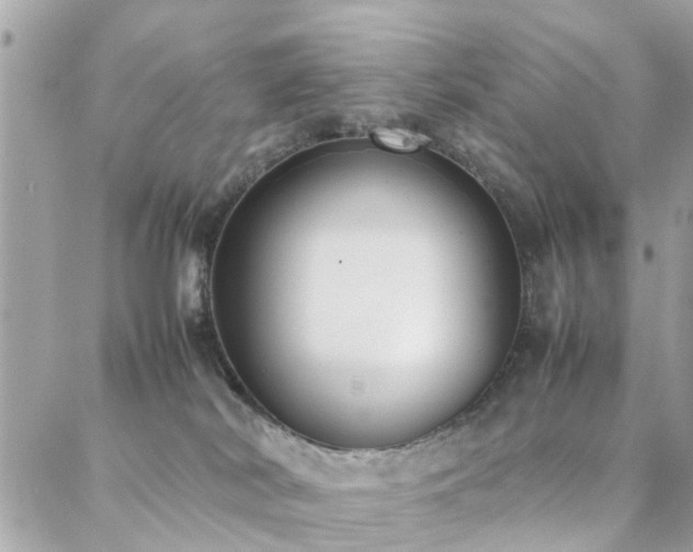 X0000088360038200705221042