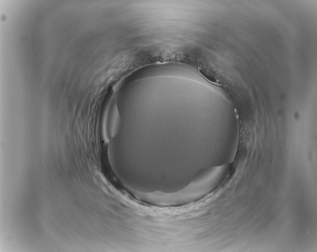 X0000088360039200705221042