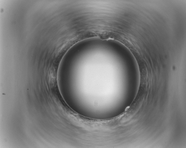 X0000088360040200705221042