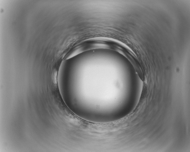 X0000088360041200705221042