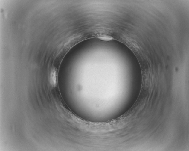 X0000088360042200705221042