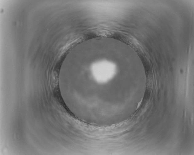 X0000088360043200705221042