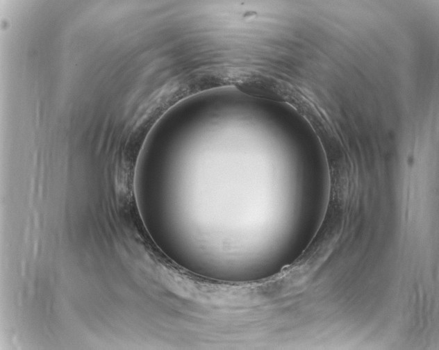 X0000088360044200705221042