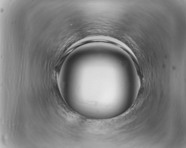 X0000088360045200705221042