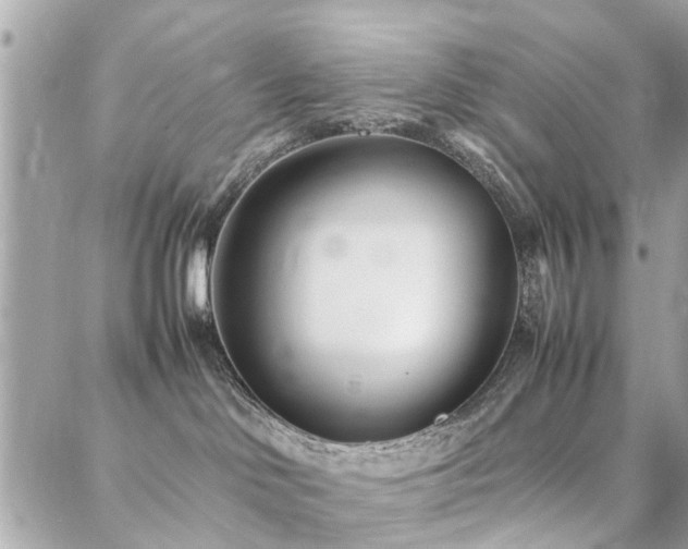 X0000088360046200705221042