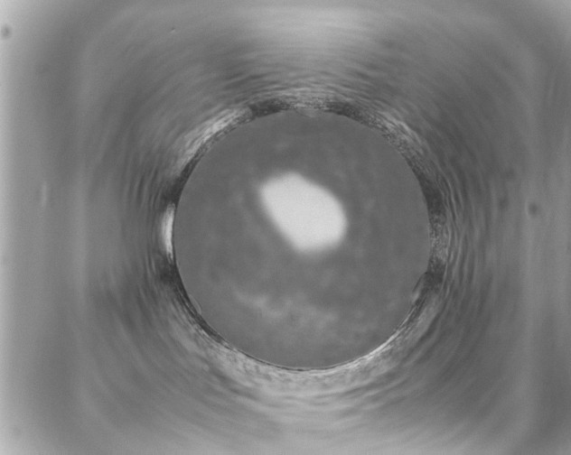 X0000088360047200705221042