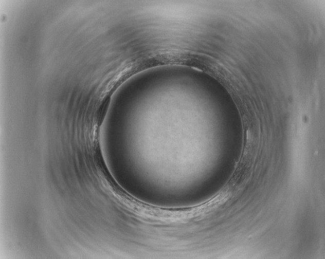 X0000088360048200705221042