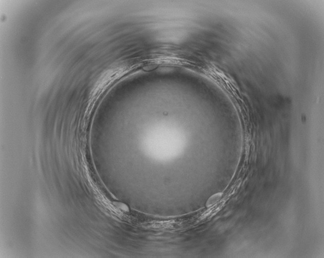 X0000088360049200705221041