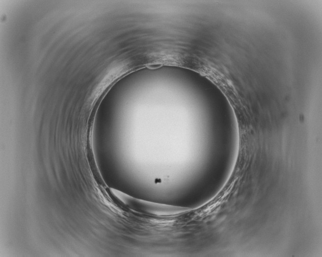 X0000088360051200705221041