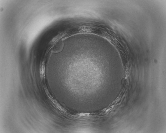 X0000088360052200705221041