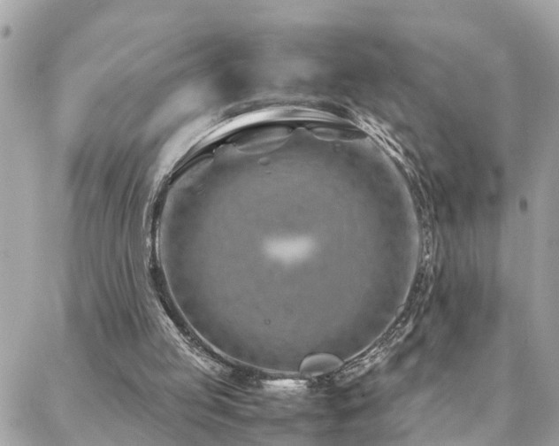 X0000088360053200705221041