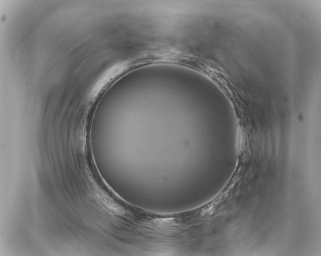 X0000088360054200705221041