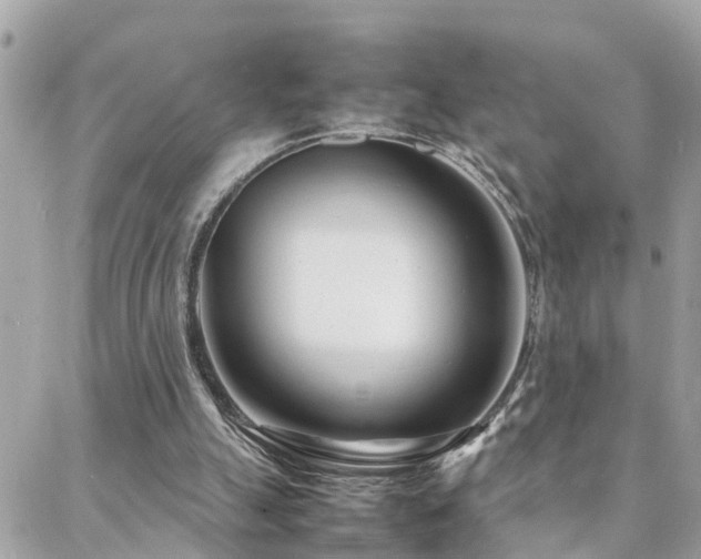 X0000088360055200705221041