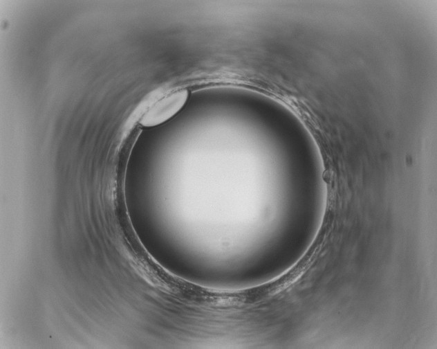 X0000088360056200705221041