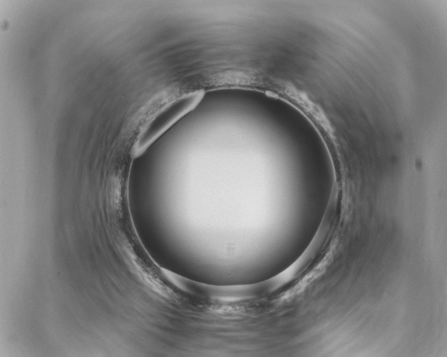 X0000088360057200705221041