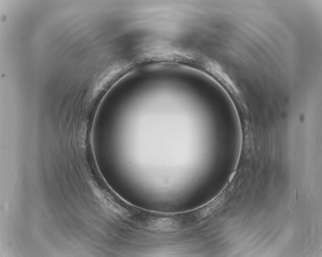 X0000088360058200705221041