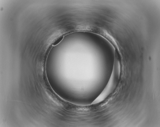 X0000088360059200705221041