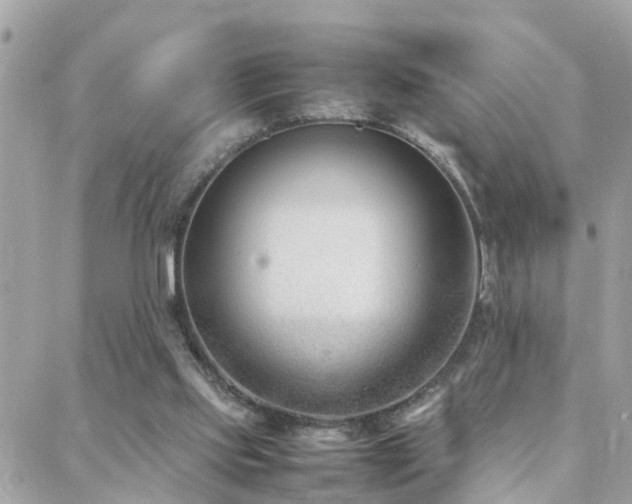 X0000088360061200705221041