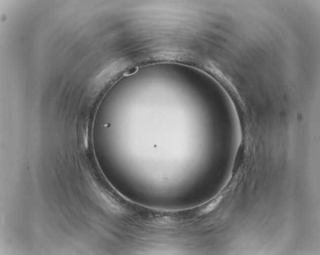 X0000088360062200705221041