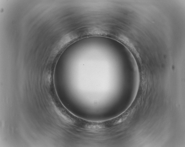 X0000088360063200705221041