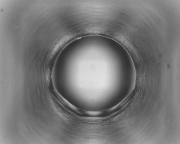 X0000088360064200705221041