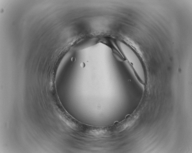 X0000088360065200705221041