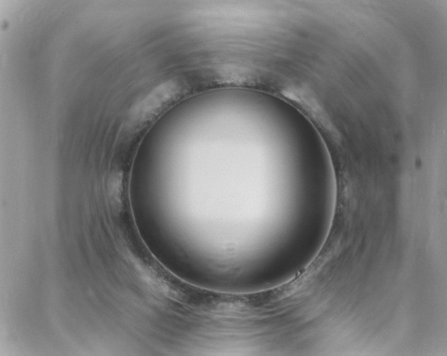 X0000088360066200705221041