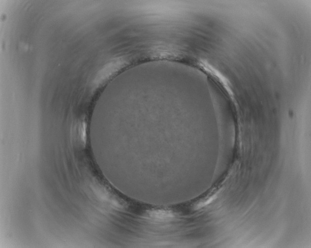 X0000088360067200705221041