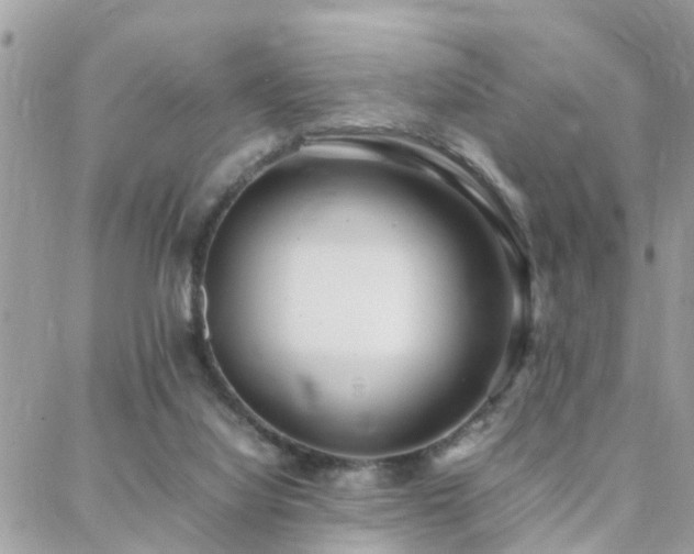 X0000088360068200705221041