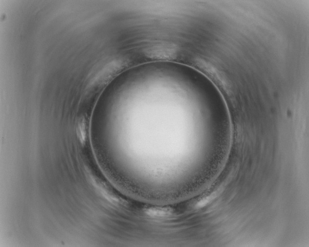 X0000088360069200705221041