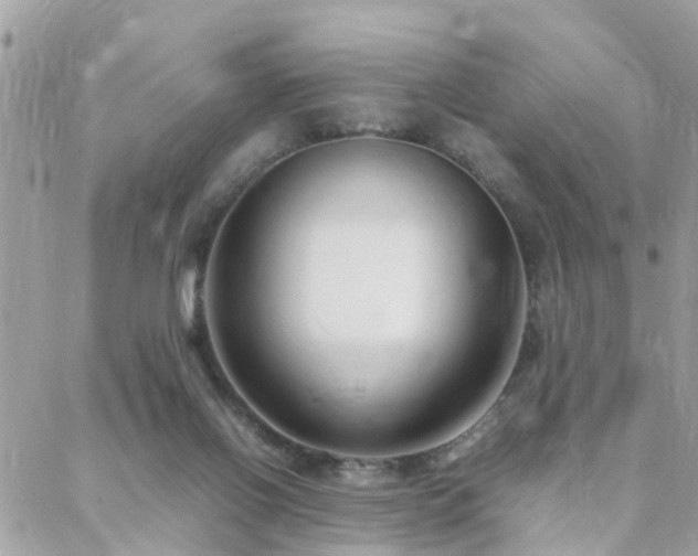 X0000088360070200705221041