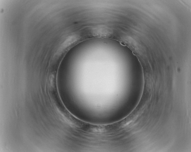 X0000088360071200705221041