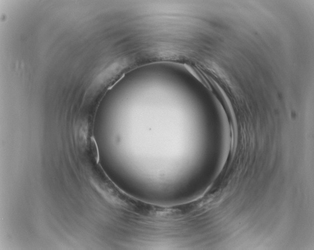 X0000088360072200705221041