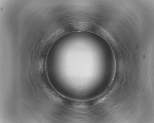 X0000088360073200705221041