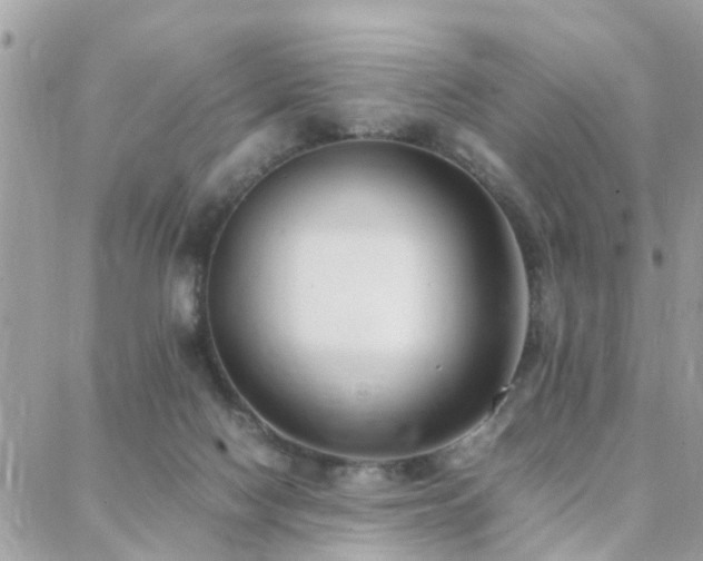 X0000088360074200705221041